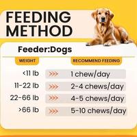 Vitamines pour chiens sous marque privée – Comprimés à croquer souples probiotiques pour chiens – Complément alimentaire pour animaux de compagnie – Santé intestinale – Friandises probiotiques à croquer