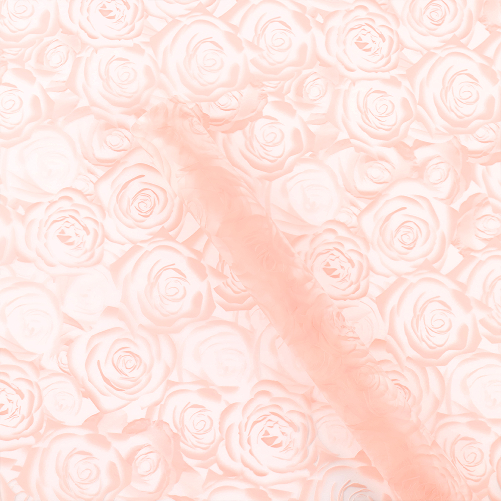1-Rose clair