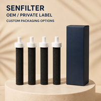 Filtre de remplacement pour bouteille d'eau, charbon actif PP, réduit les contaminants, le chlore, conserve les minéraux, sans BPA, pour la maison
