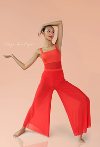 ステージブティックレオタード下セパレートソフトメッシュワイド脚パンツツーピースダンスコスチューム - Product Image 6