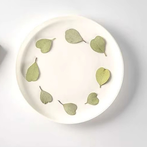 MNR2086 Dried and Pressed <strong>Heart</strong> Shape Eucalyptus Leaves <strong>for</strong> Resin DIY <strong>Craft</strong> Suppliers - Product Image 2