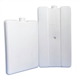 <b>Ice</b> <b>Pack</b> Food Cooling Pain Relief Reusable Medical <b>Gel</b> Vaccine Carrier Cold Chain Insulated Box Pharmaceutical Transport Class - Product Image 1