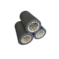 Tuyau en caoutchouc avec revêtement céramique résistant à l'usure pour le sablage, avec service de découpe, diamètre personnalisable