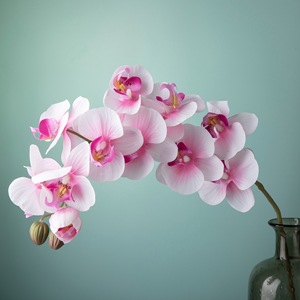 ดอกกล้วยไม้ฟาแลนนอปซิสประดิษฐ์สีขาวนมชมพูอ่อน ของ CallaFloral สำหรับตกแต่งภายในบ้าน งานแต่งงาน - Product Image 1