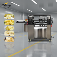 Commerciële multifunctionele geautomatiseerde machine voor het schillen, snijden en reinigen van suikerriet