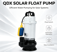 Pompe à eau solaire submersible flottante sans balais QDX DC avec interrupteur à flotteur automatique pour système d'alimentation en eau solaire hors réseau