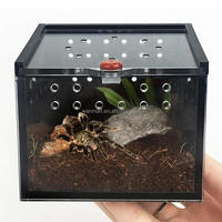 Boîte d'araignée acrylique Terrarium élevage étui pour Gecko lézard Scorpion licorne insecte acrylique Reptile Cage
