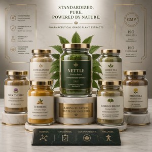 Extrait de racine d'<span class=keywords><strong>ortie</strong></span> naturel en poudre 10:1 20:1 pour le soutien de la prostate - Product Image 6