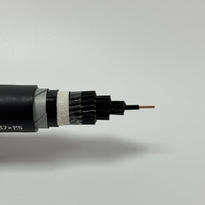 Nhà máy cung cấp 450/750kv 37x1.5 Cáp điều khiển WDZC-KYJY23 để thiết bị đo đạc xlpe cách nhiệt tiêu chuẩn quốc gia - Product Image 6