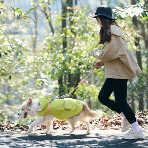 Correas para mascotas Venta al por mayor Correa para perros de alta calidad Perros medianos y grandes Asas de absorción de impactos Correa para perros de alta resistencia - Product Image 3