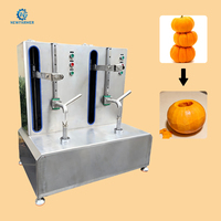 Automatische Ananas Schilmachine Multifunctionele Semi-automatische Fruit- en Groenteschiller Schilmachine voor Ovale Watermeloen