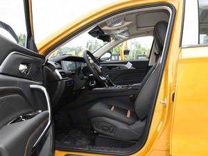 2020 फाव बेस्टर्न टी77 प्रो लक्जरी सुव | टर्बो इंजन चमड़े की सीट गहरे इंटीरियर में R18 पैनोरामिक सनरूफ स्वचालित ट्रांसमिशन टीपीएमएस - Product Image 2