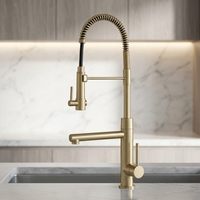 Luxe or Brossé Printemps Cuisine Robinet Pulvérisateur Robinet Mitigeur Lavabo Robinet