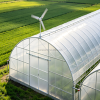 Serre tunnel à simple travée en acier galvanisé à faible coût avec film PE pour l'agriculture
