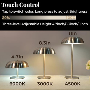 Lampe en métal acrylique sans fil rechargeable par USB, design moderne minimaliste, corps flexible en fer, pour la décoration de la maison/du bureau/de la chambre - Product Image 4