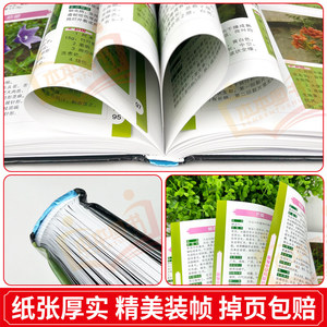 完全版 漢方薬カラー地図帳百科事典 本物のイラスト入り参考書 伝統的な中国語 - Product Image 4