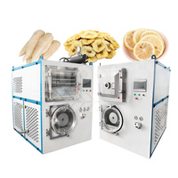 Mijn Snoep Vriesdroger Laboratorium Fruit Vriesdroogmachine Mini Lyofilisator Huishoudelijke Prijs