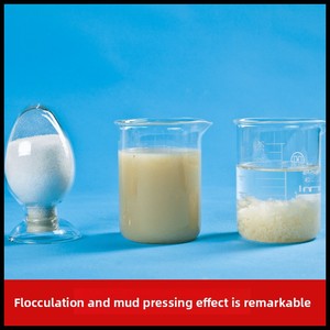 Poliacrilamida Catiónica de Alto Peso Molecular, Floculante, Precipitante, Especial para Plantas de Tratamiento de Aguas Residuales Industriales, <span class=keywords><strong>PAM</strong></span> <span class=keywords><strong>80</strong></span>% - Product Image 5