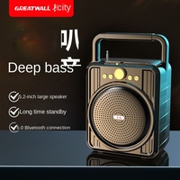 Haut-parleur portable d'extérieur, système audio multifonctionnel pour la maison et la danse de rue, microphone, radio pour paiement par code QR et carte