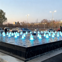 Fontaine musicale dansante personnalisée haut de gamme en acier inoxydable, design moderne, pour jardin extérieur et parc haut de gamme