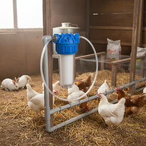 Nuevo Sistema de Filtro de Agua AYTAV para Bebederos de Animales, Componente Principal para Uso en Granjas, para Pollos y Conejos - Product Image 2