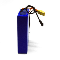 Batterie LiFePO4 12V 12Ah 15Ah avec BMS intégré, pulvérisateur électrique, tondeuse à gazon robotisée, outil de jardinage OEM