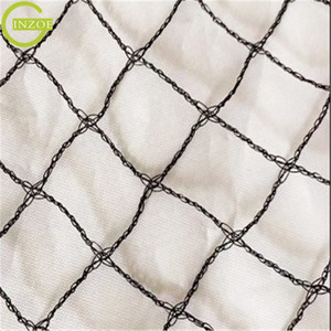 <span class=keywords><strong>Filet</strong></span> <span class=keywords><strong>pour</strong></span> oiseaux Starling à faible coût <span class=keywords><strong>pour</strong></span> la <span class=keywords><strong>protection</strong></span> - Product Image 3