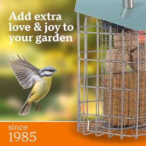 JH-Mech Hexihaus mangiatoia per uccelli resistente agli agenti atmosferici facile da riempire e pulire la ghisa a prova di piccioni scoiattolo antico pensile per uccelli - Product Image 4