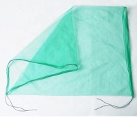 China Factory Green Data Palm Fruit Verpakking Hdpe Monofilament Netje
