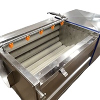 Fabrikant van fruit- en groentereinigings- en schilmachines voor groenteverwerkingsbedrijven, commercieel gebruik, eenvoudige bediening, 220V
