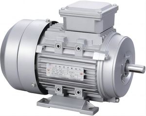 Motor Asíncrono de CA con Carcasa de Aluminio YS, Tipo YS, 100% Cobre, B3 B35 B14 B5, Tamaño de Llama S1, Carga de Trabajo 3000 rpm, 3 Fases, 0.18KW ~ 7.5KW - Product Image 4