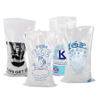 Sacs de rangement et d'emballage personnalisés en plastique réutilisables et jetables, fonctionnels, avec cordon de serrage, pour glacières rigides et glaçons