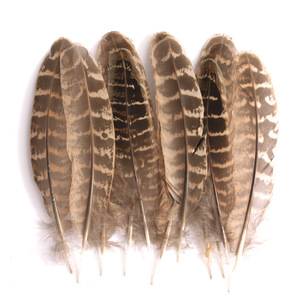 80 Plumes de faisan de couleur naturelle - Product Image 2
