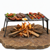 Barbecue au charbon de bois pour le camping en plein air, réchaud en acier inoxydable avec grille en maille pour pique-nique
