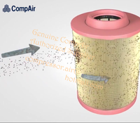 Compair 75155 Cartouche de Filtre À Air