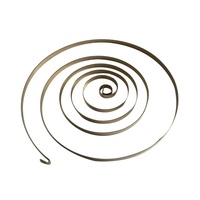 Ressort de défilement en acier inoxydable 301 personnalisé en usine Style spirale de 0.1 à 10mm d'épaisseur pour usage automobile et industriel galvanisé