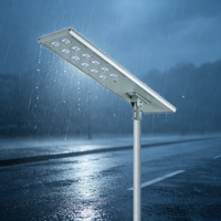 Farola LED Solar Integrada IP65 con Batería LiFePO4, Carcasa de Aluminio, Garantía de 3 Años, Precio de Fábrica, OEM, ODM