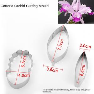 แม่พิมพ์ตัดบิสกิตสแตนเลส 15 แบบ รูปดอกไม้ แม่พิมพ์ขนมแบบพลิก แม่พิมพ์ตัดลายใบไม้ดอกไม้จำลองแบบอังกฤษ - Product Image 5