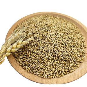 Fabriek Groothandel Alpiste Vogelzaad Voor Canari Geel-Rij Groenvink Bulk Kanarie Zaadprijs - Product Image 1