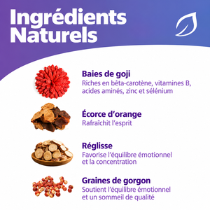 Tisana alle Erbe per la Memoria, 20 Bustine a Piramide, Supporto Cerebrale e Concentrazione, Bevanda Botanica Naturale, Vendita all'Ingrosso Diretta dalla Fabbrica - Product Image 2