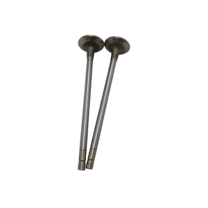 Pièces détachées pour camions très vendues, pièces du système moteur de camion, 4926069X 4926069 Soupape d'admission (blanche) pour moteur Cummins - Product Image 1
