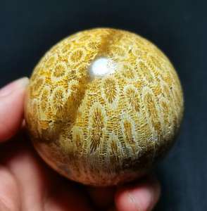 Sphère en jade corail poli naturel de haute qualité, cristal fossile de chrysanthème, boule de cristal pour la décoration de la maison, Feng Shui, vente en gros - Product Image 3