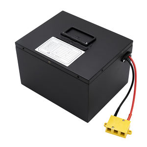 High Power E Riksja Batterij Lifepo4 Batterij Productie Batterij Lithium Pack - Product Image 4