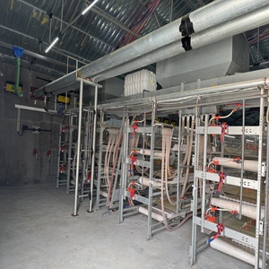 Tự động lớp gà lồng thiết bị cần thiết cho sản xuất trứng cao trên các trang trại gia cầm - Product Image 4