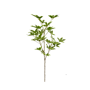 Tiges de verdure en plastique artificielles en plastique d'eucalyptus pour la décoration de la maison et du bureau Transplantation Occasions d'anniversaire Type d'<span class=keywords><strong>arbustes</strong></span> - Product Image 2