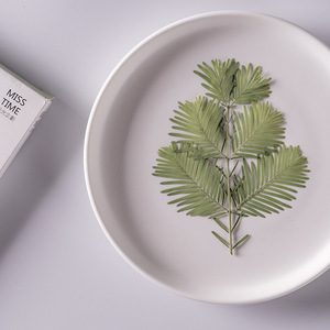 Vraies feuilles de <span class=keywords><strong>Metasequoia</strong></span> pressées pour l'artisanat botanique, cadeau de Noël, cadeaux de douche nuptiale et décoration d'ongles. - Product Image 2