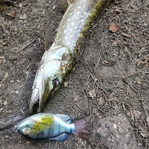 เหยื่อตกปลาแบบข้อต่อหลายตัวเหยื่อตกปลาแบบ2ส่วนเหยื่อตกปลาที่กำลังจมขนาดยักษ์ใหญ่เหยื่อตกปลาแบบเหวี่ยงเหยื่อว่ายน้ำพร้อมตะขอเสียงแหลม - Product Image 4