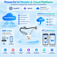 Module de jouet compagnon IA AISK OEM ODM pour poupée en peluche avec yeux interactifs, chat vocal IA, mémoire, interface utilisateur personnalisée, solution de tableau intelligent