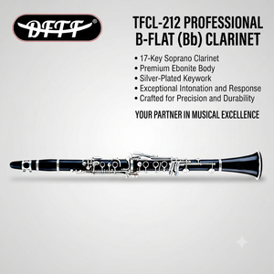 <span class=keywords><strong>Clarinete</strong></span> <span class=keywords><strong>Profesional</strong></span> de Alto Rendimiento, <span class=keywords><strong>Precio</strong></span> de Fábrica/Venta al Por Mayor/OEM, en Plata, Clave B, Cuerpo de Caucho Duro, 17 Llaves - Product Image 1