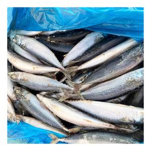 Sea Dream Frozen 15 kg NO.7 NO. 8 NO. <span class=keywords><strong>9</strong></span> Importadores de Pescado Caballa del Pacífico IQF Thomson con Precio Competitivo y Envío Rápido - Product Image 1
